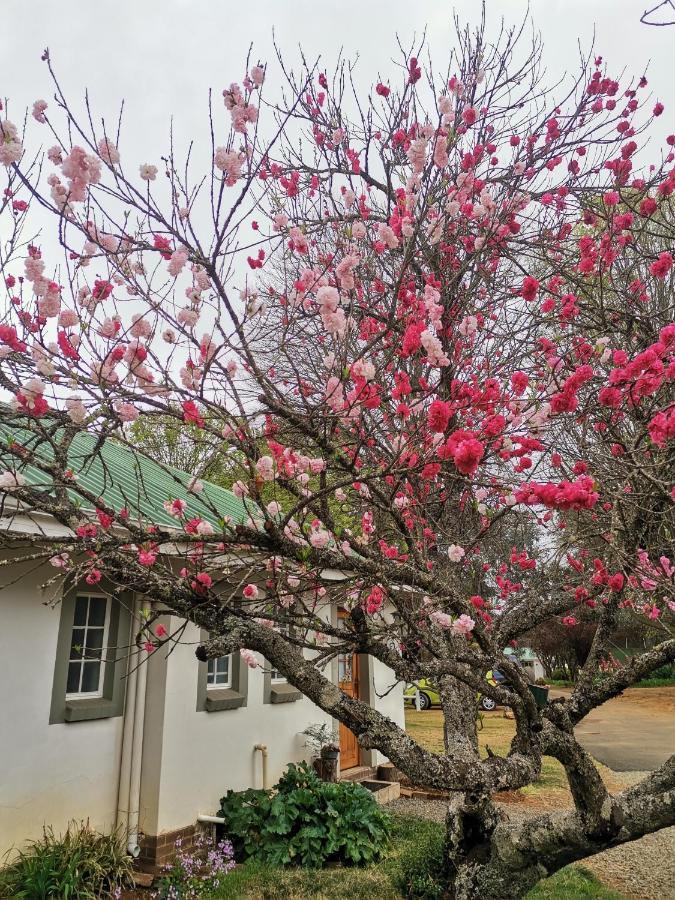 Sani Window B&B And Self Catering أندربرغ المظهر الخارجي الصورة