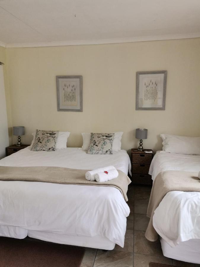 Sani Window B&B And Self Catering أندربرغ المظهر الخارجي الصورة